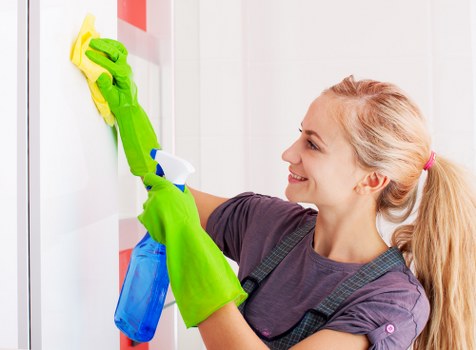 Professional window cleaning in Greenwich for a bright exterior