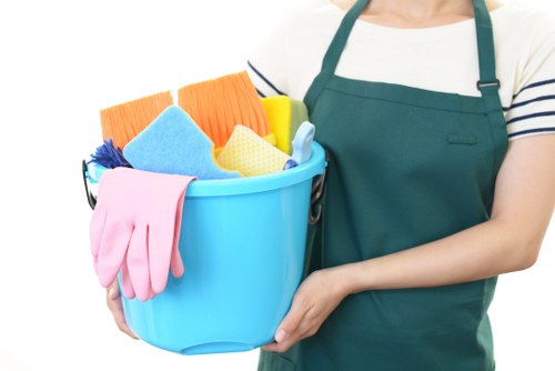 Oven cleaning professional working safely in a Greenwich kitchen