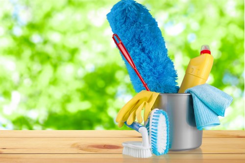 Risk assessment and professional oven cleaning in Greenwich