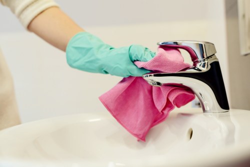 Steam cleaning a sofa for upholstery care in Greenwich
