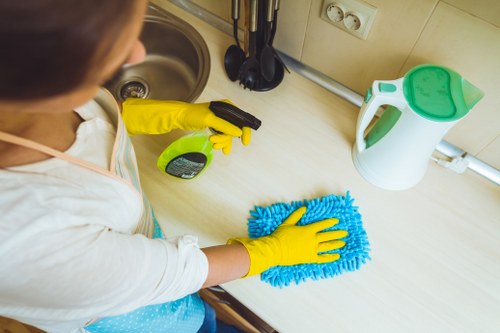 PPE and kitchen safety measures during oven cleaning
