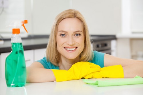 Pure water window cleaning for hard-to-reach Greenwich windows