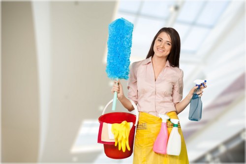 Flexible domestic cleaning services for homes in Greenwich