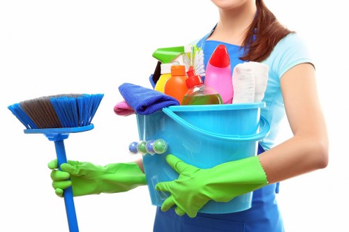 Professional oven cleaning service terms document introduction