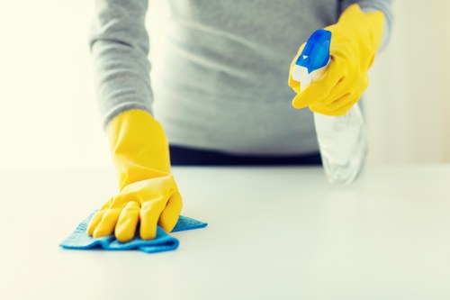 Expert oven cleaning service in Greenwich highlighting care and detail