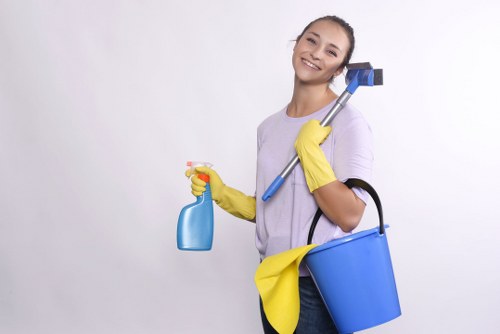 Kitchen and bathroom cleaning as part of Greenwich home cleaning