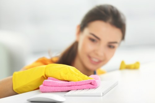 Deep carpet cleaning equipment used in Greenwich home