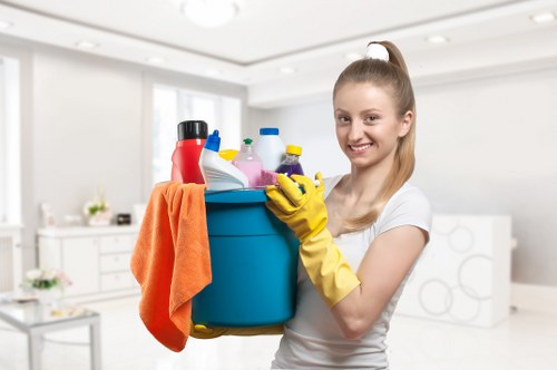 Upholstery cleaning in Greenwich removing stains and dust from a couch