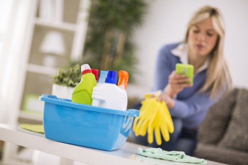 Safety check before professional oven cleaning begins