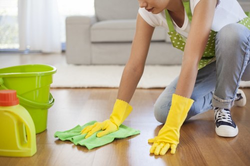 Kitchen appliance cleaning support for Greenwich households